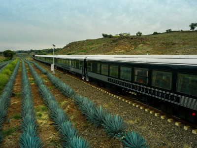 Поезд Текила Экспресс: El Tequileño